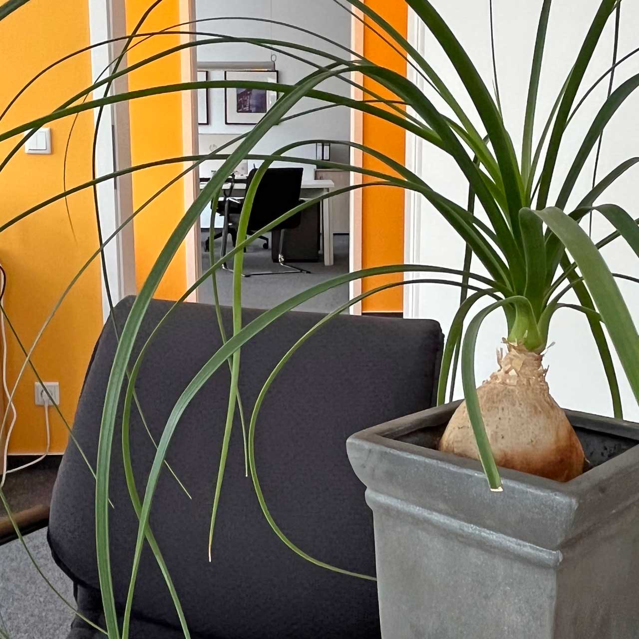 Reinhard Meyer - Steuerberater, 59065 Hamm